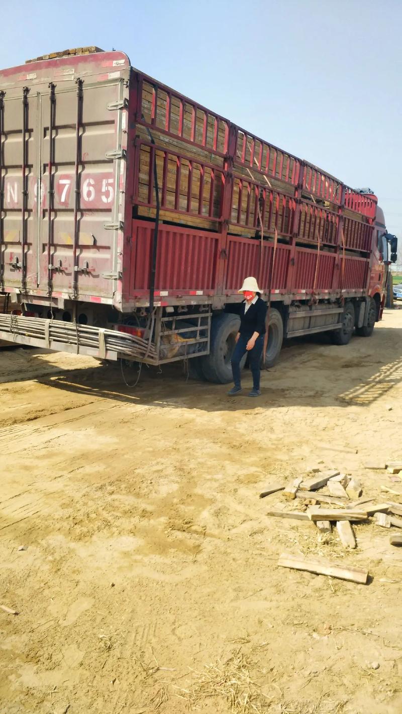 建筑材料供应 工地背后的坚实后盾